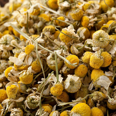 Roman Chamomile