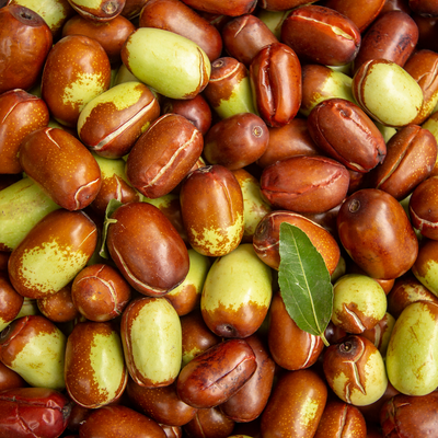 Jojoba