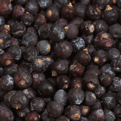Juniper