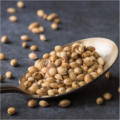 Coriander