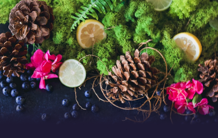 newsletter-img